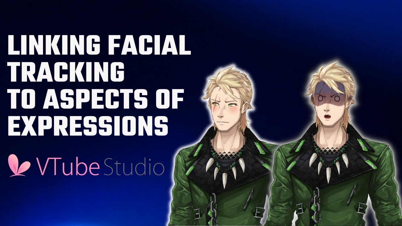 Vtube Studio: Linking Facial Tracking to Aspects of Expressions