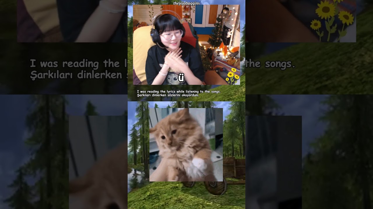 🎶🎶🎶🎶🎶