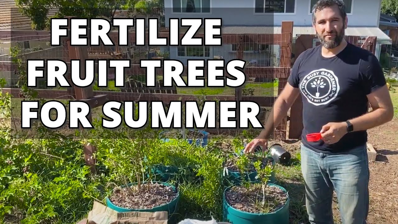 How to Fertilize Fruit Trees for Summer | Plus Tour the Backyard Orchard! (Season 5)