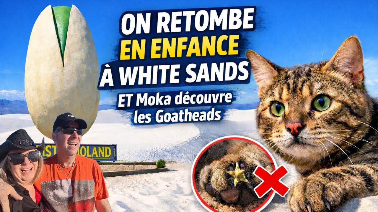 White Sands National Park - un désert blanc irréel au Nouveau Mexique