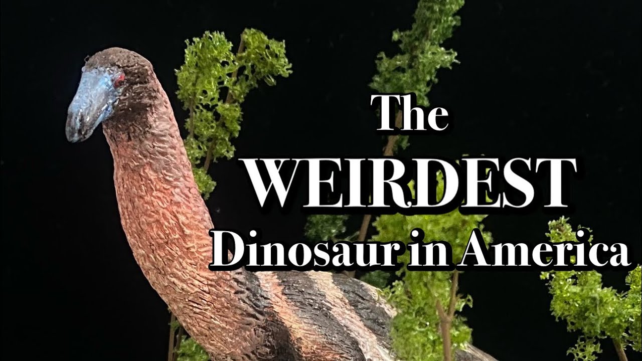 Нотроних: странная индейка с косами вместо рук в Америке