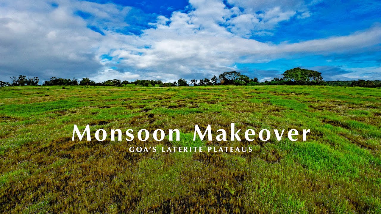 Goa's Laterite Plateaus Get a Monsoon Makeover