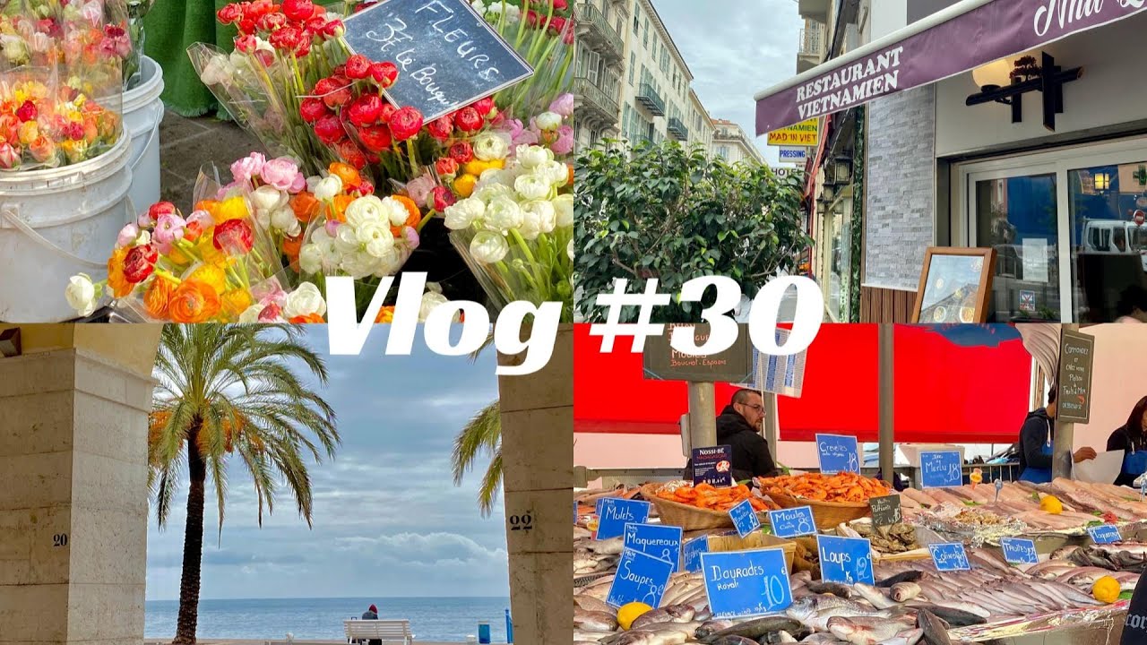 Vlog #30 Vivre en France / 🇫🇷南法之旅Part2 / 市场买海鲜🦑🍋/ 好吃的越南菜