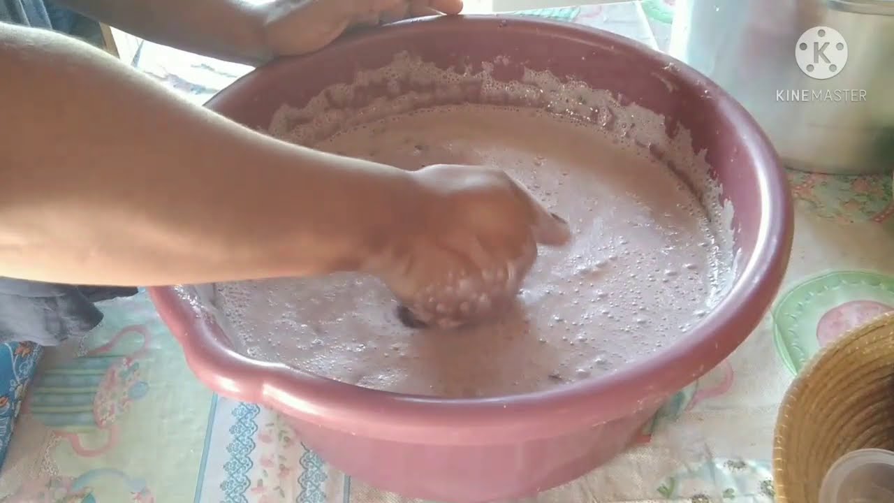 COMO FAZEMOS  BACABA AQUI NA NOSSA REGIÃO TOCANTINENSE @casinhadacrisvidanaroca