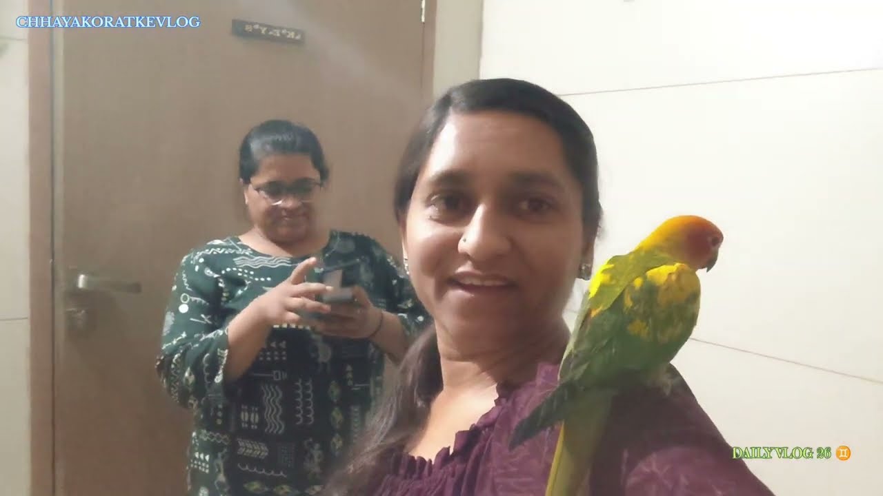 hamne aaj bal gopal ki Pooja ki aur aaj hum Gaye hamare restaurant pe femily dinner Kiya🤣