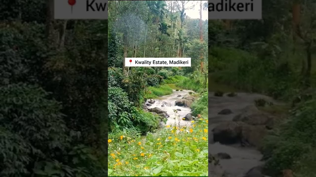 Best BUDGET STAY IN COORG Inside a Coffee Plantation (with a stream)