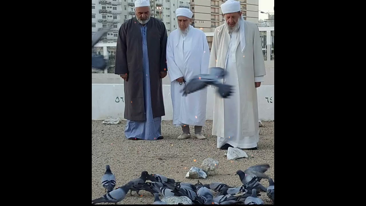 Seyda Molla Bedrettin Sancar Farsça Kaside 🌹 Abone olmayı unutmayın ❣️