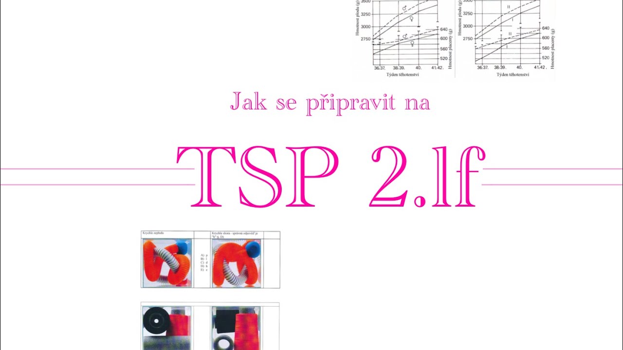 TSP 2.lf, testy studijních předpokladů - jak se na ně připravit?