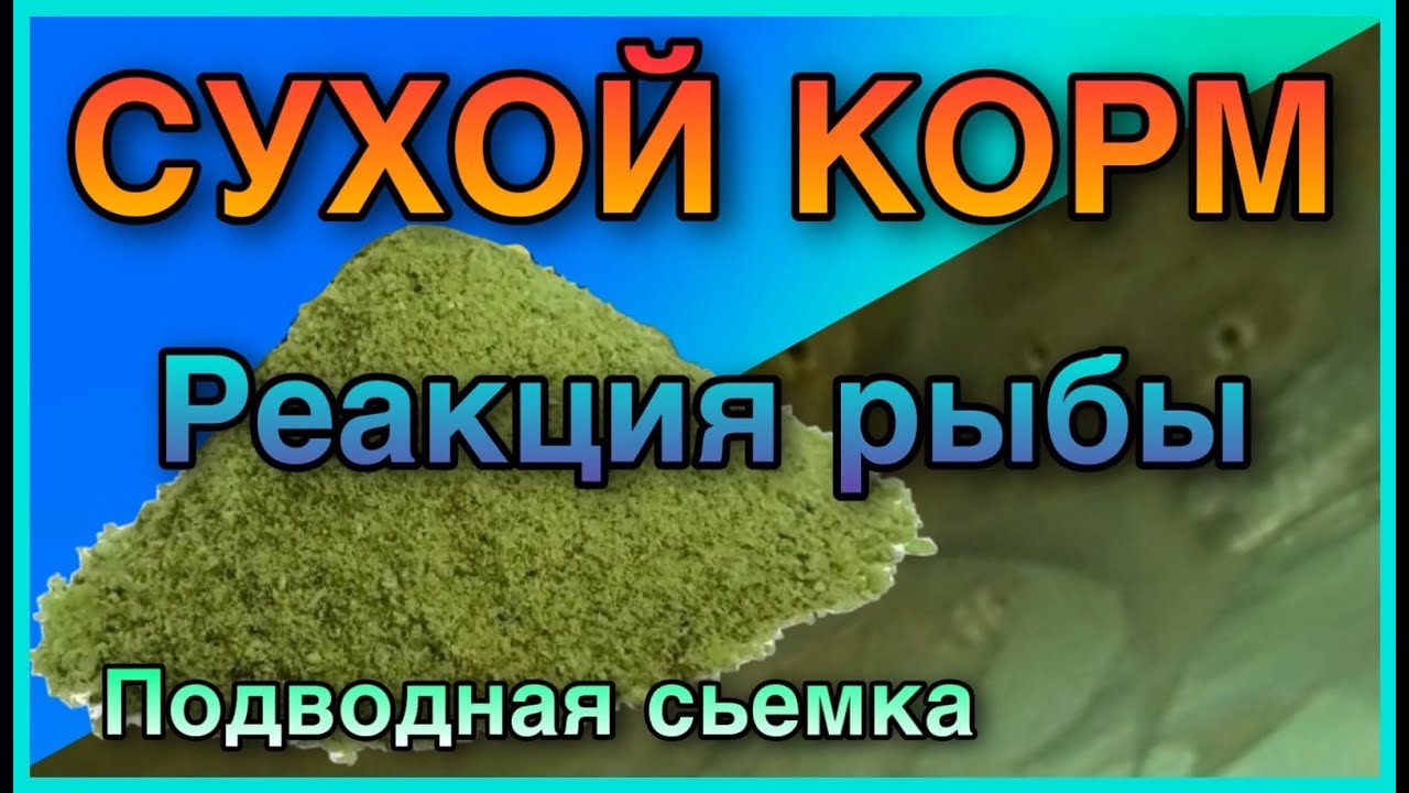 Как рыба реагирует на сухой корм.Подводная съемка.
