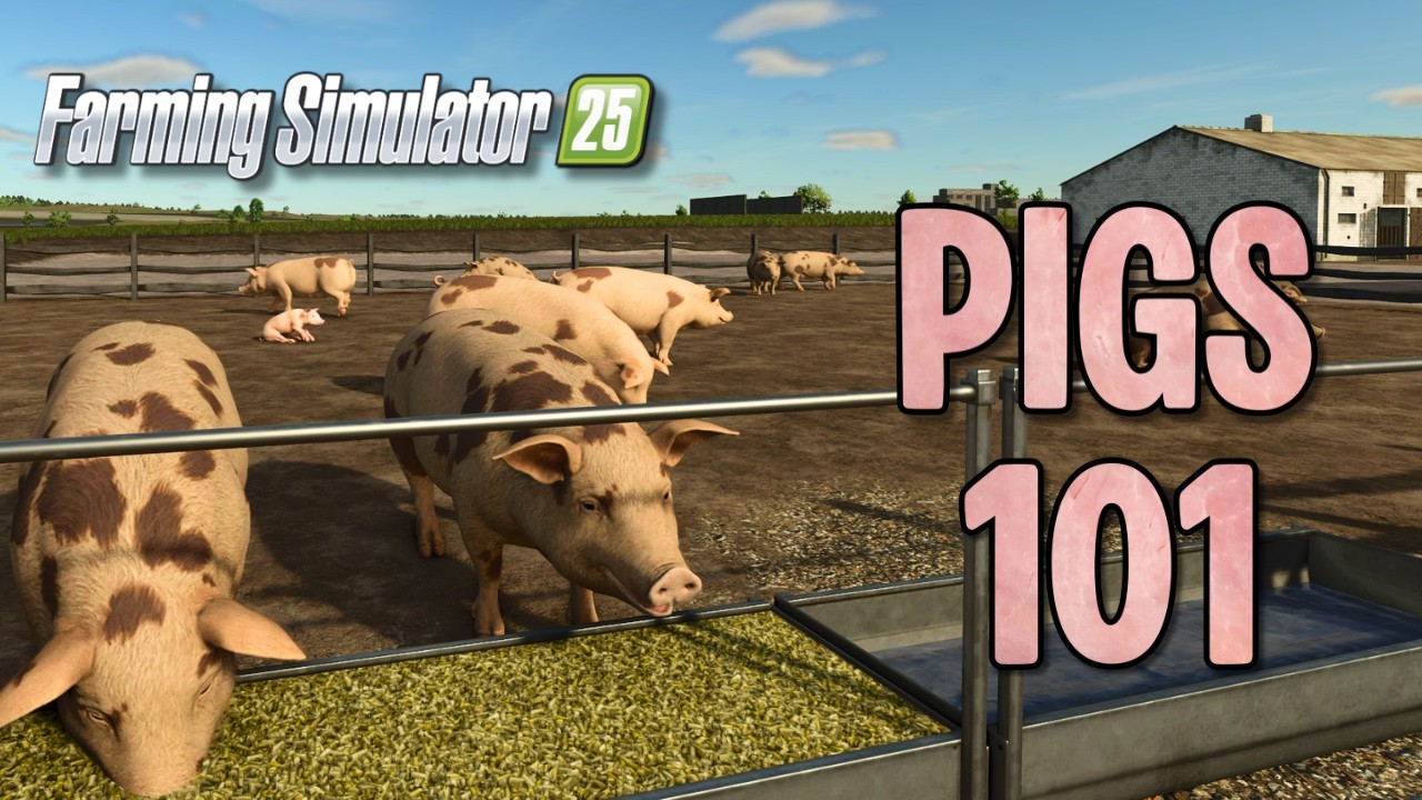 FS25 Pig Farming Guide | Everything You Need to Know About Raising Pigs