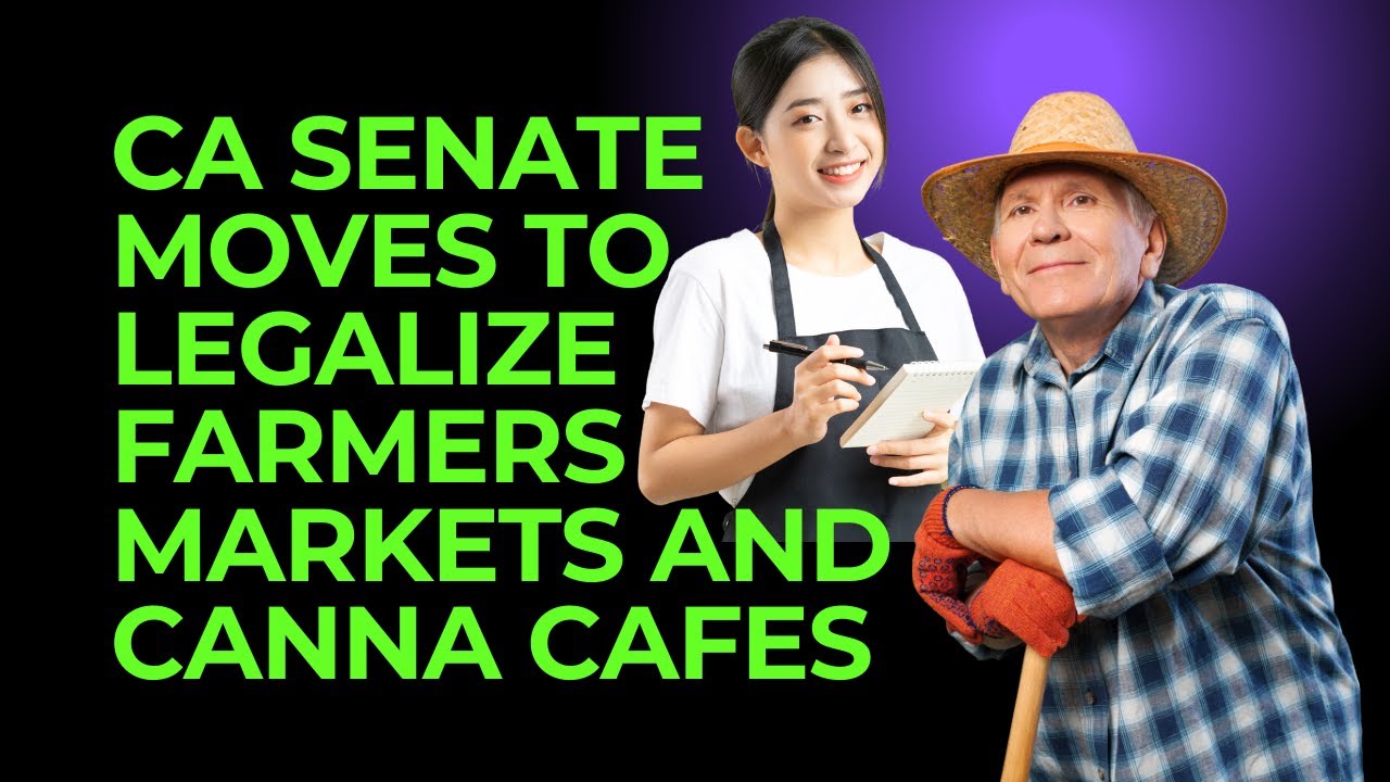 In Amsterdam Style, California Senate Moves To Legalize Cannabis Farmers Markets And Cafes
