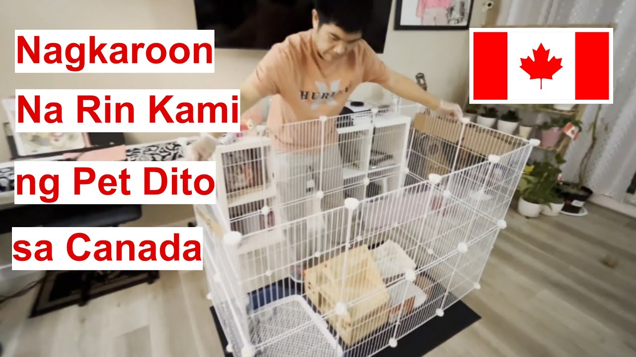 У нас тоже есть питомец здесь, в Канаде! Живём в Канаде!