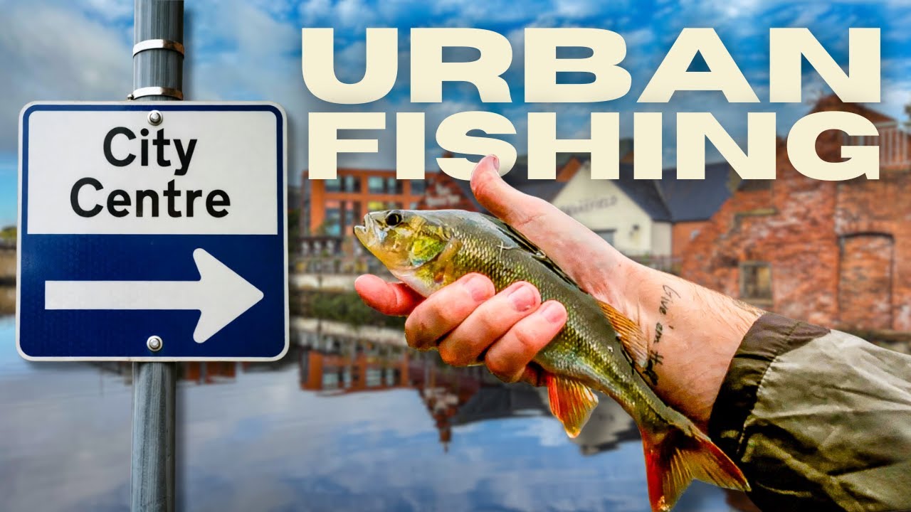 Perch Fishing UK - Urban Canal Fishing! Catching Fish with Lures in the City Centre!
