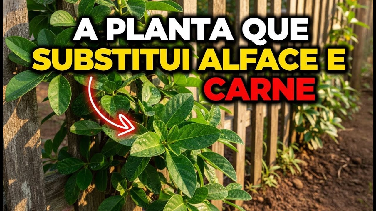 Melhor Que Alface: Cresce o Ano Todo e RebrotA Sem Parar — Por Que Quase Ninguém Planta?