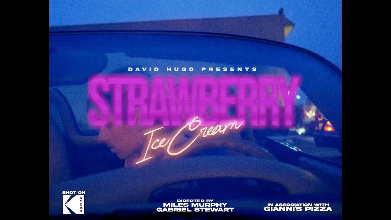 Strawberry Ice Cream - david hugo (Visualizer)