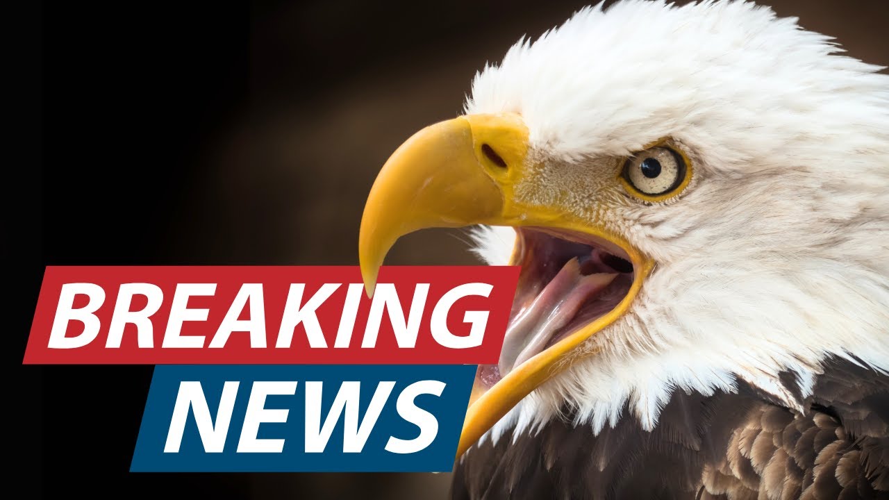 The Biggest Eagle News in 240 Years Just Happened