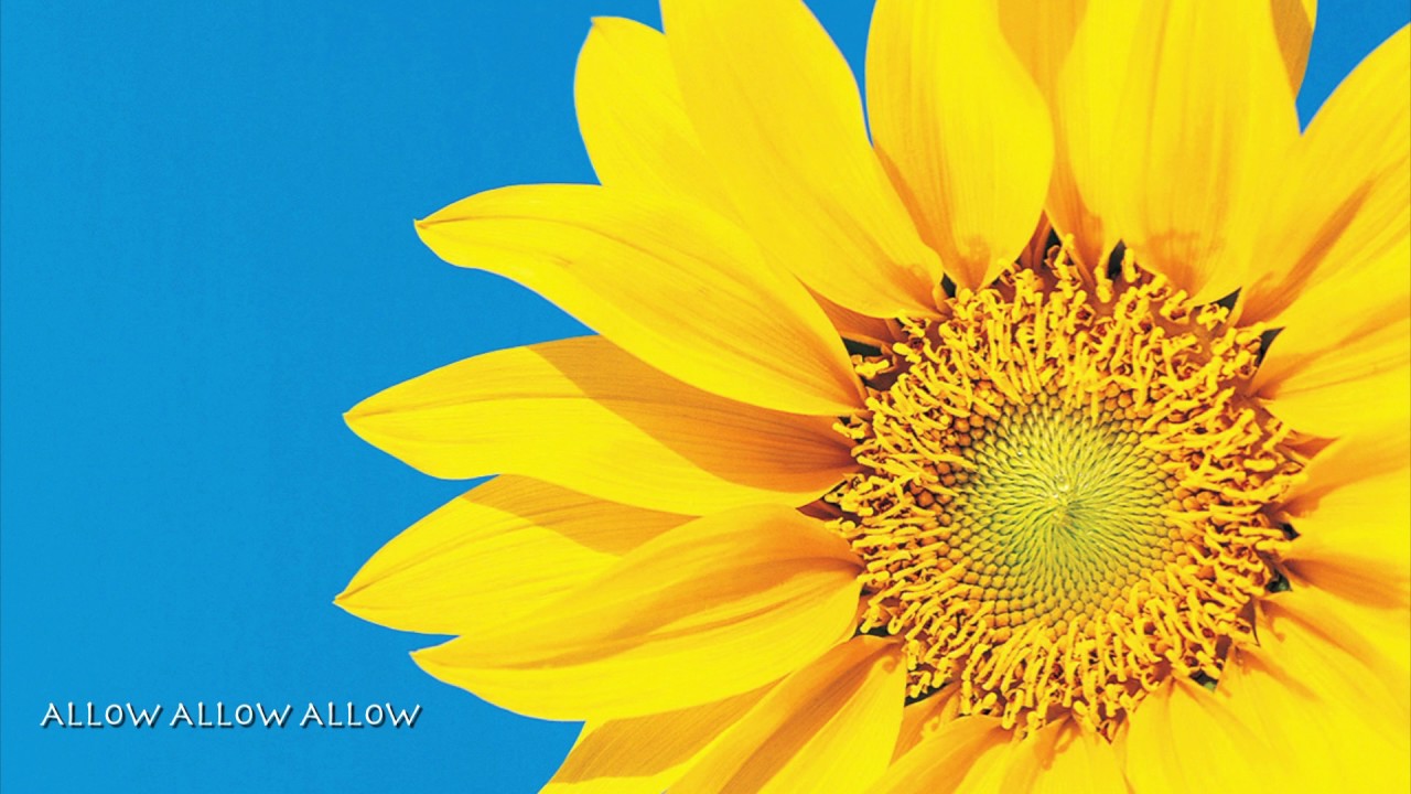 ALLOW ALLOW ALLOW ~ Francine Jarry~Abraham-Hicks