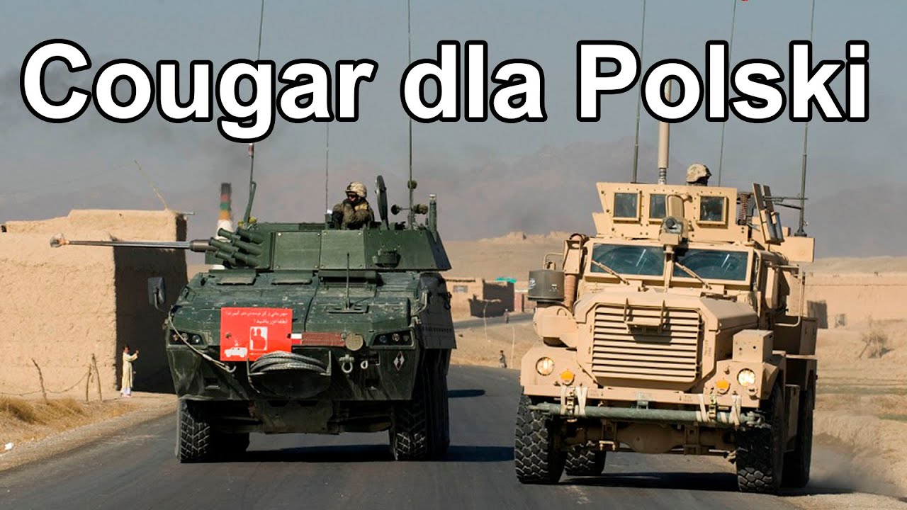 MRAP Cougar dla Polski