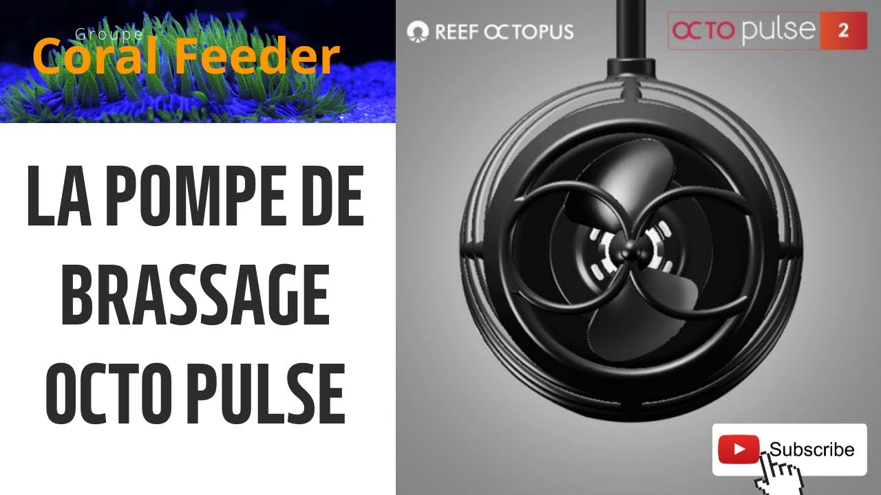 Unboxing Octo Pulse 2 (6000 L/h)