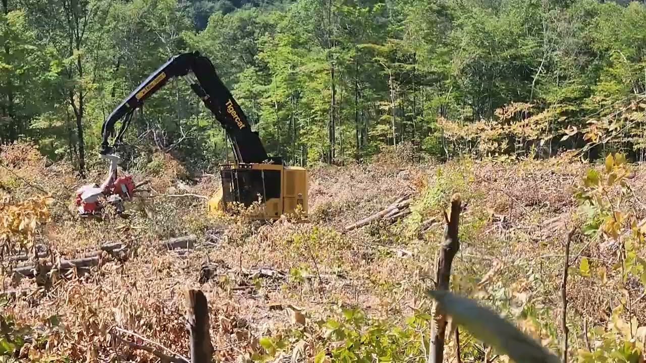 H822E with a logmax 7000xt