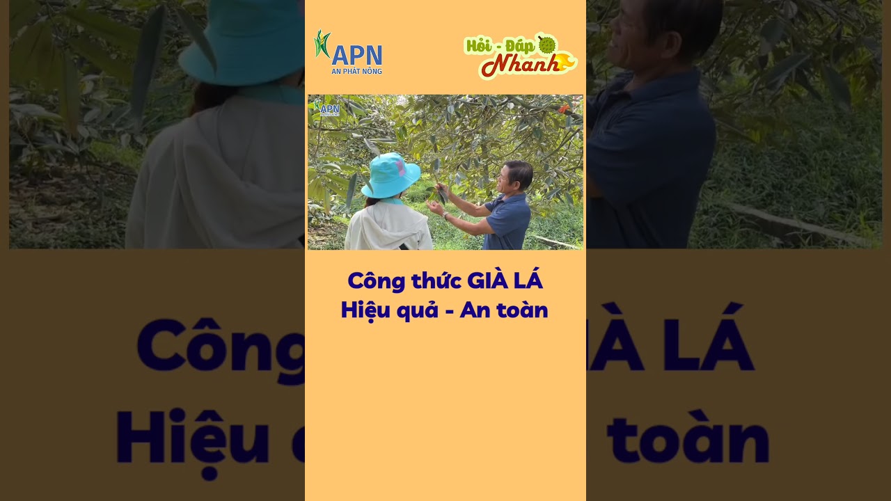 APN - C&ocirc;ng thức gi&agrave; l&aacute; hiệu quả - an to&agrave;n