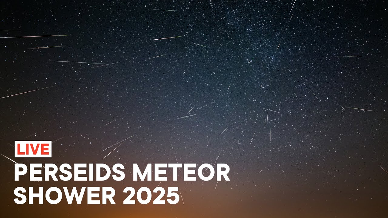 Perseids Meteor Shower 2025 Live from UK [4K]