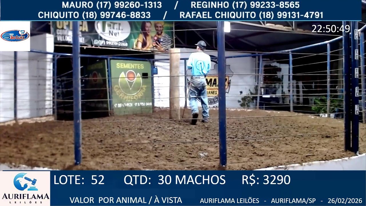 LEILÃO AURIFLAMA LEILÕES - 26/02/2026 - AURIFLAMA/SP - LEILÃO