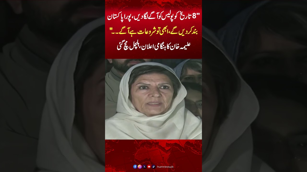 Aleema Khan's Big Statement about 8th Feb PTI Protest | PTI News | Hum News | Pakistan News