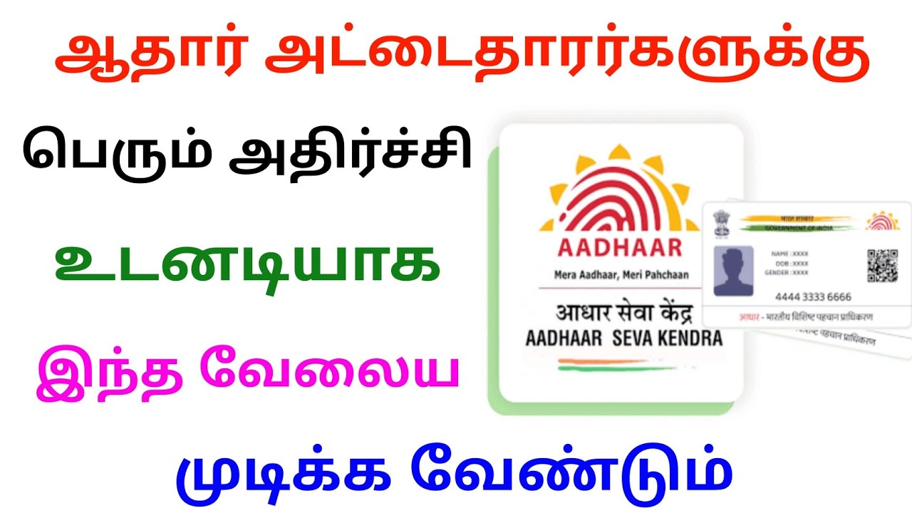 aadhaar card new update tamil nadu 2025 | aadhaar details check | Tricky world