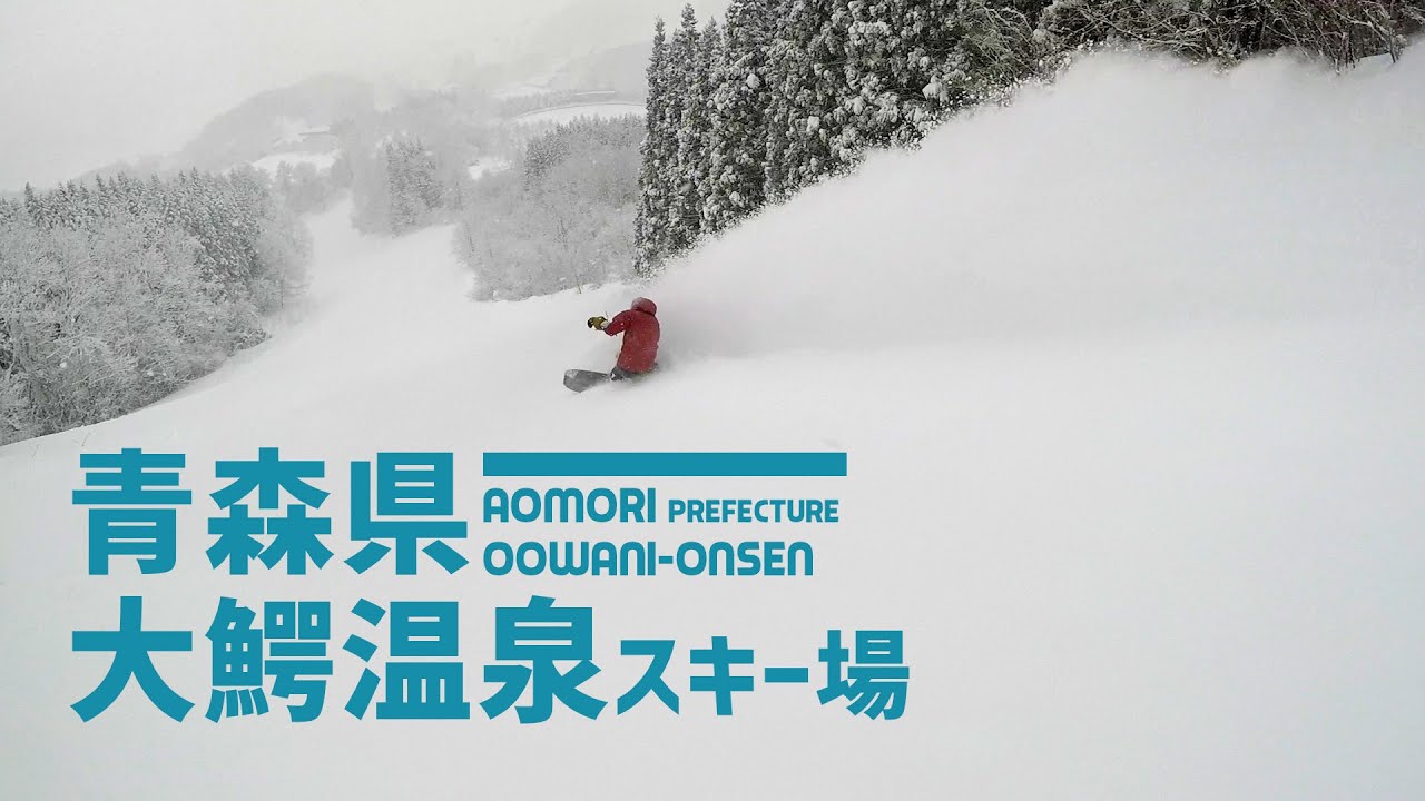 【非圧雪コースがスゴイ】青森県 大鰐温泉スキー場 / 大きな斜面でバッフバフの新雪を！