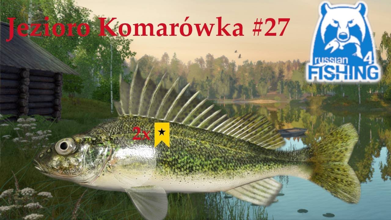 Russian Fishing 4 - 2x Trophy Ruffe Jazgarz Feeder spot Jezioro Komarówka Mosquito #27