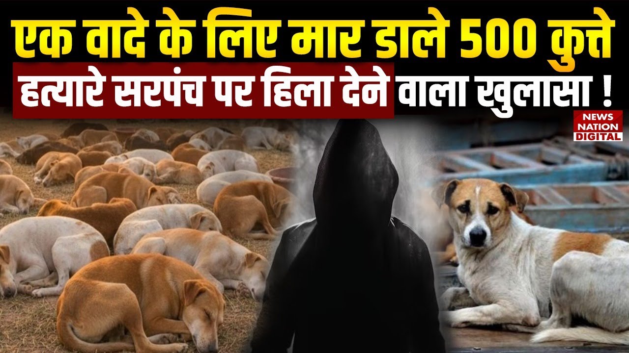 Dogs Killing Case: Telangana मे Election Promise पूरा करने के लिए 500 Dogs को मार डाला!| Dogs Murder
