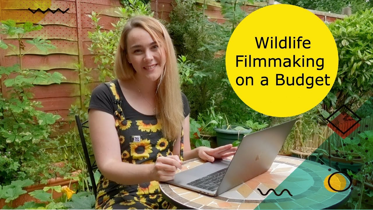 Wildlife Filmmaking on a Budget