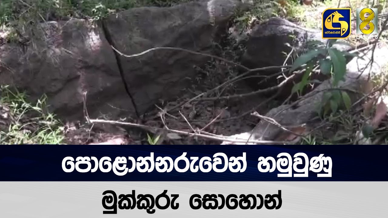 පොළොන්නරුවෙන් හමුවුණු මුක්කුරු සොහොන්