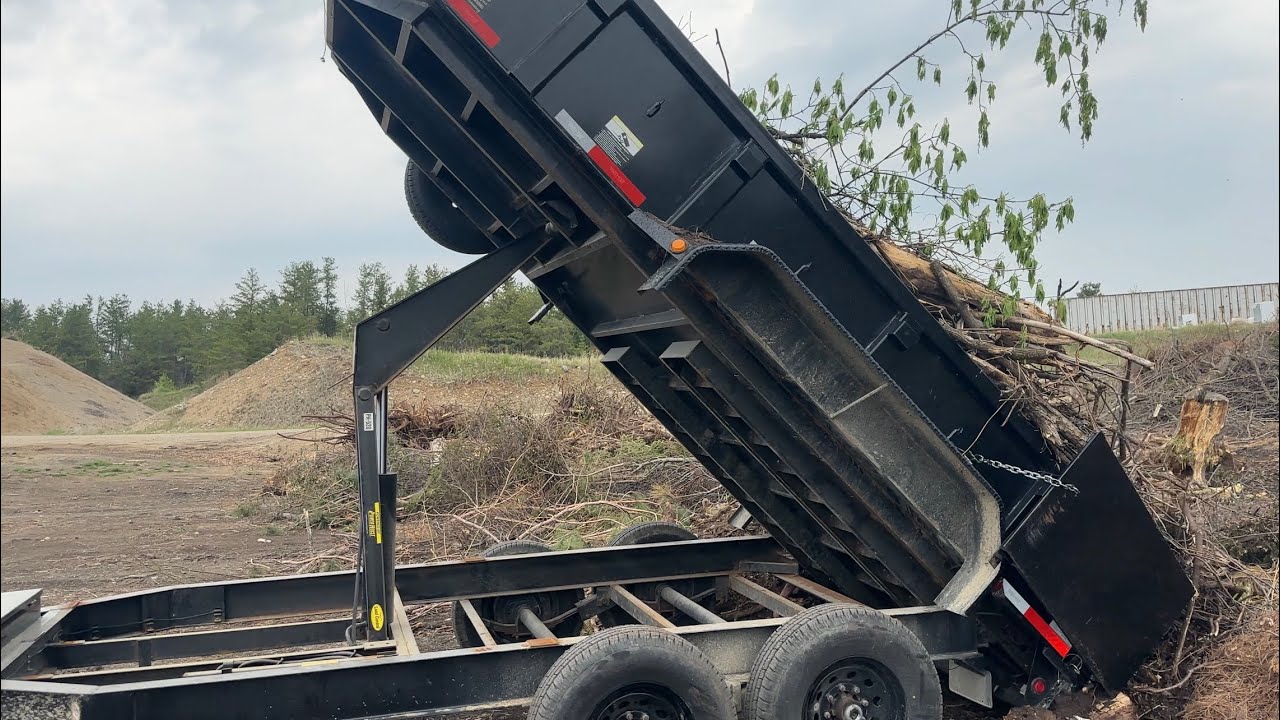 This Afternoon At The Dump With Brush