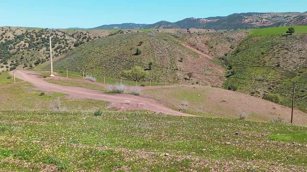 دهن السير اسير: المسكين ماطمعش فالكفة عندو السير مصدي...يلطيف.