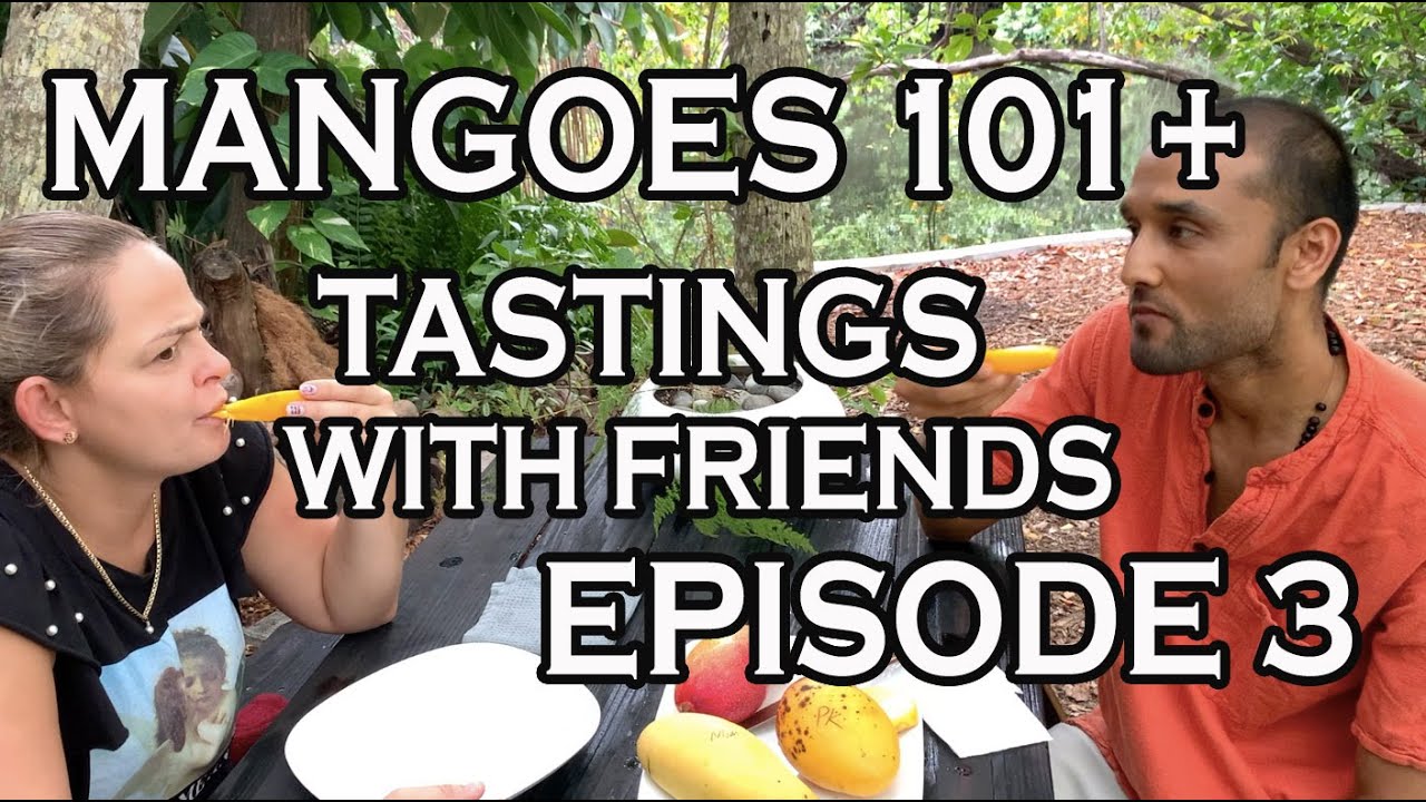 Mangoes 101 + Mango Tastings with Friends, EPISODE 3: Lemon Meringue, Valencia Pride, Pickering, NDM