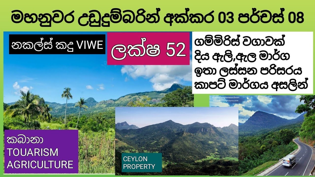 NO,,792 # මහනුවර උඩුදුම්බර 🌴ලස්සන තැනකින් අක්කර 03 පර්චස් 08 ,,ගම්මිරිස් වගාවක් ,ලක්ෂ 52,,,සින්නක්කර