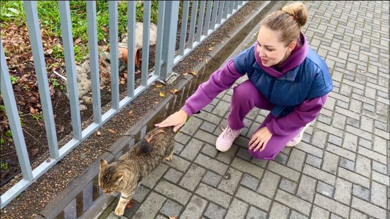 ВЛОГ Как ОТПРАЗДНОВАТЬ День рождения ПОДРОСТКА 13 лет 🎂? Кормим кошек и собак на Набережной Анапы ! 