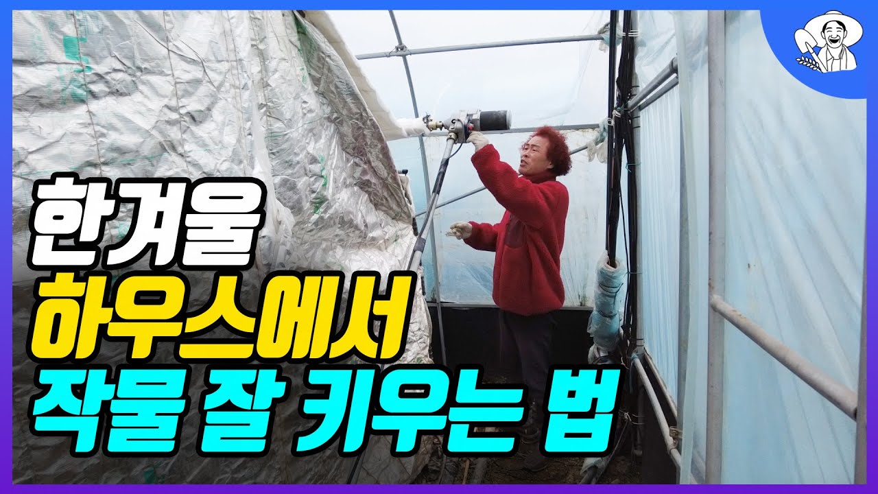겨울철 하우스 재배 최저 온도는 몇도일까?