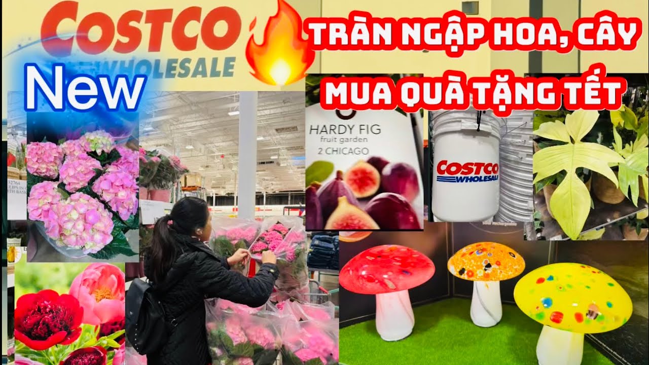 #270🇺🇸🔥New Chợ Costco ￼tràn ngập hoa,cây cảnh 🌷Quà tặng Tết 🛍️💝🎊🌸🌷