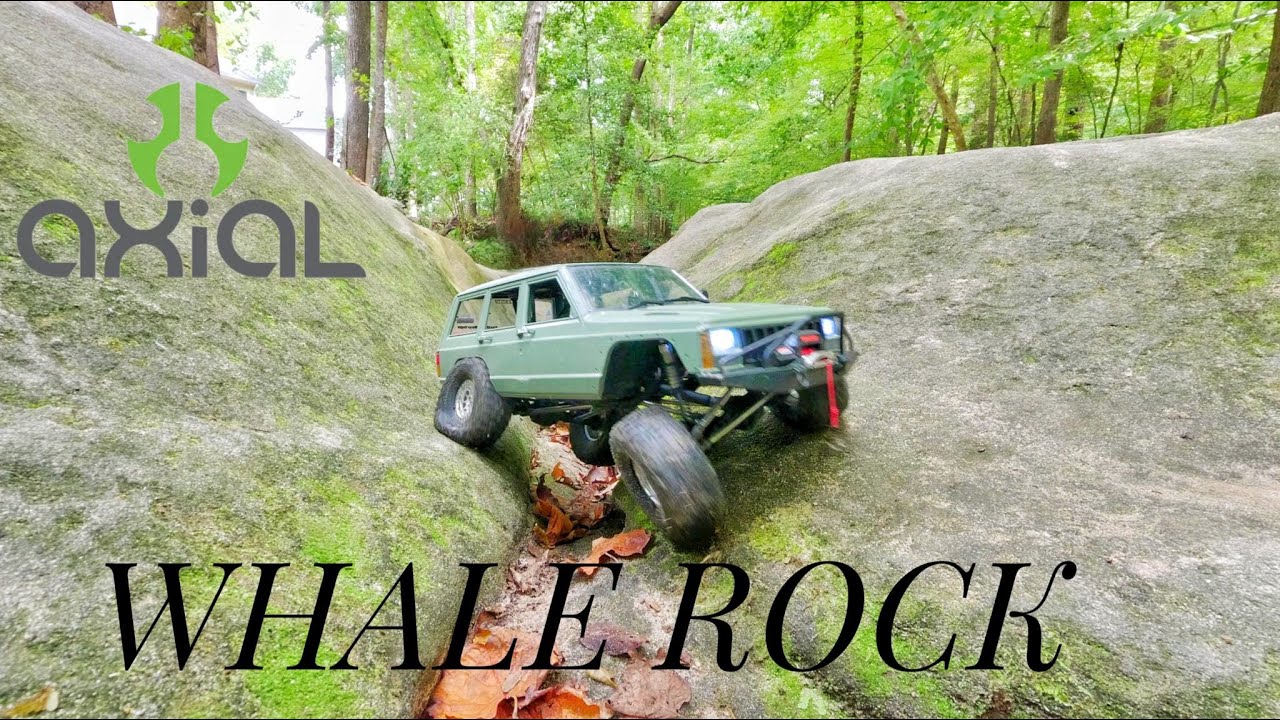 Recovery at Durant nature preserve(whale rock)