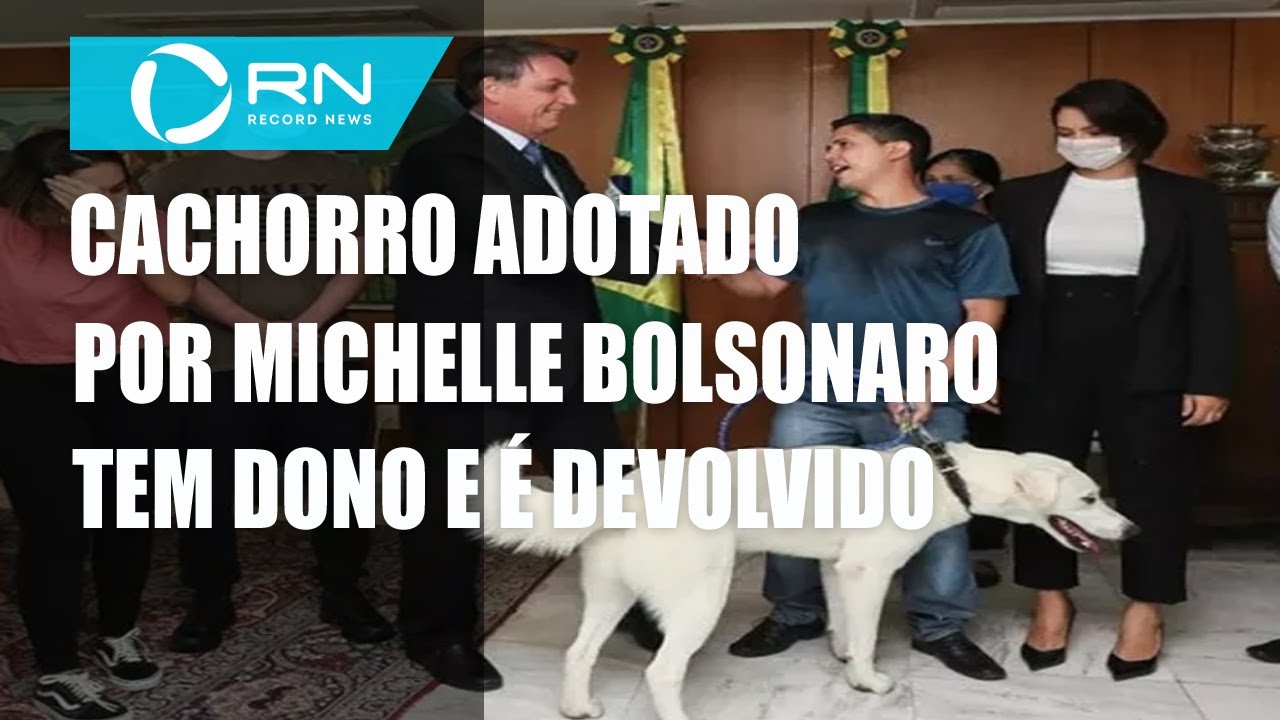 Cachorro adotado por Michelle Bolsonaro tem dono e é devolvido