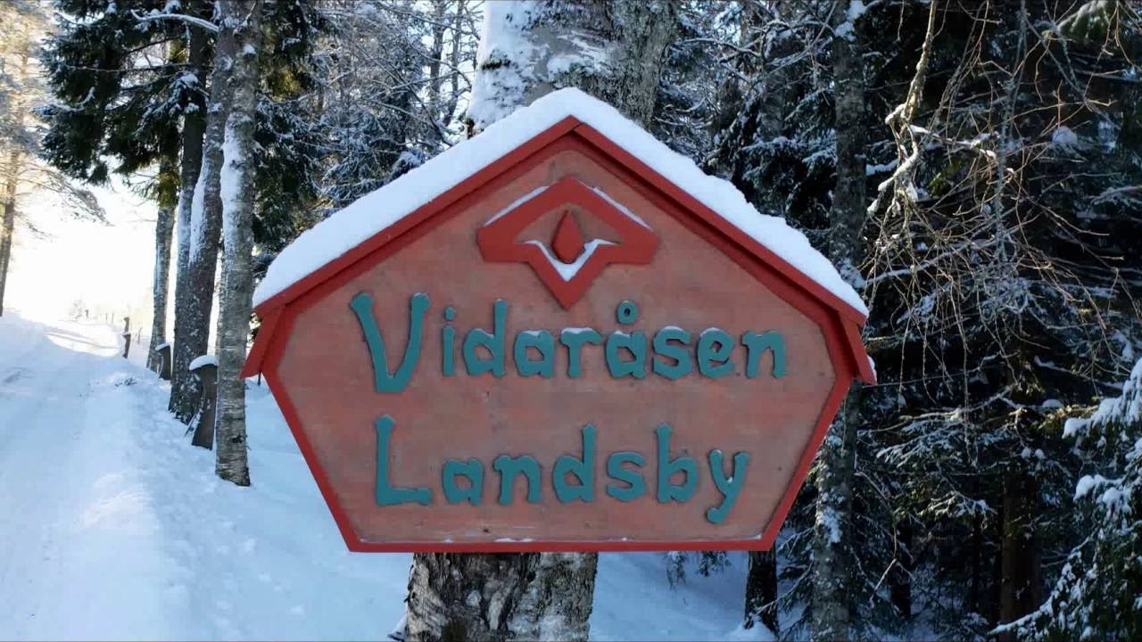 Vidaråsen i kyla, januari 2016