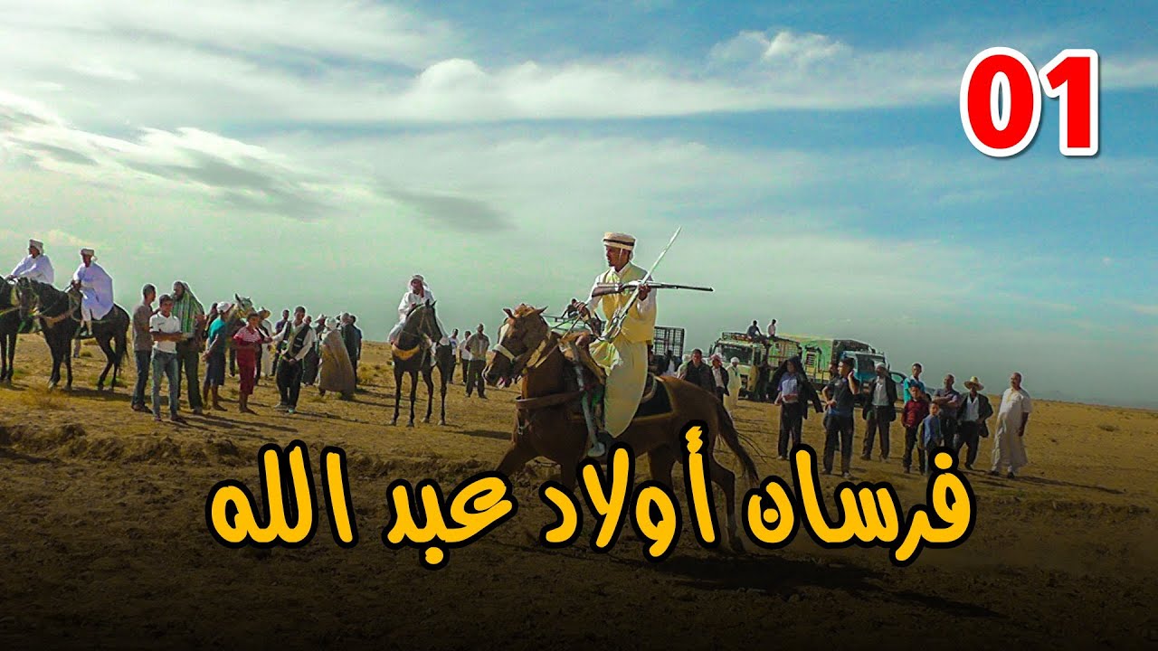 بداية موفقة - فرسان أولاد عبد الله - Equestrian