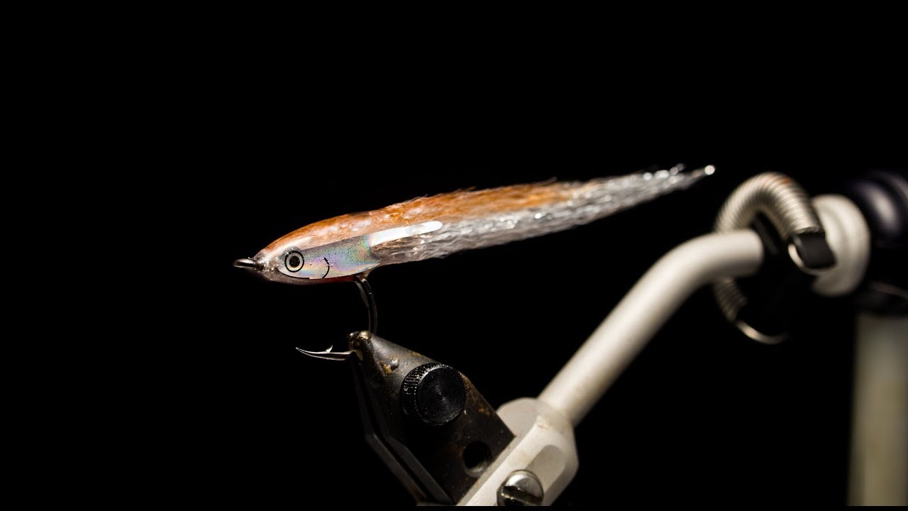 Anchovy foil Surf Candy