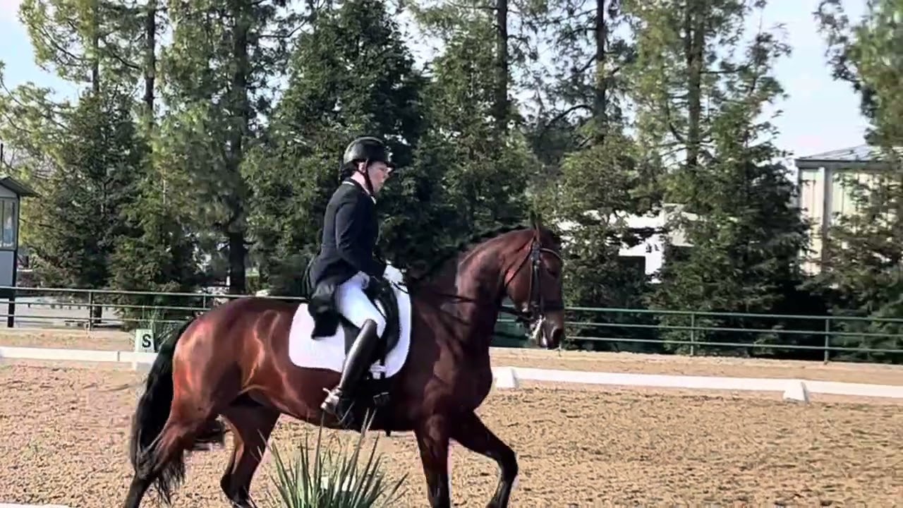 Prix St. Georges with comments by Rachel Wade. 61.6%