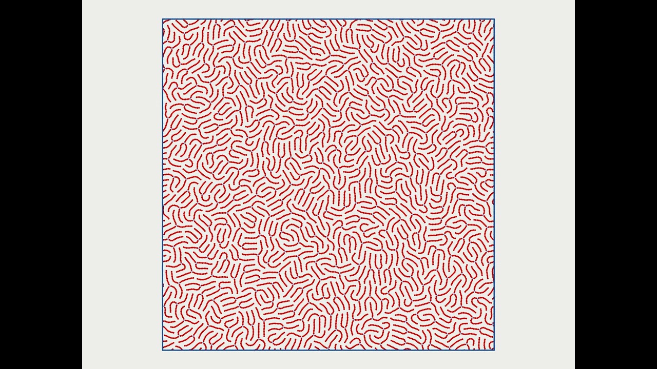 Linked core-corona particles Self-Assembly : Labyrinth I.