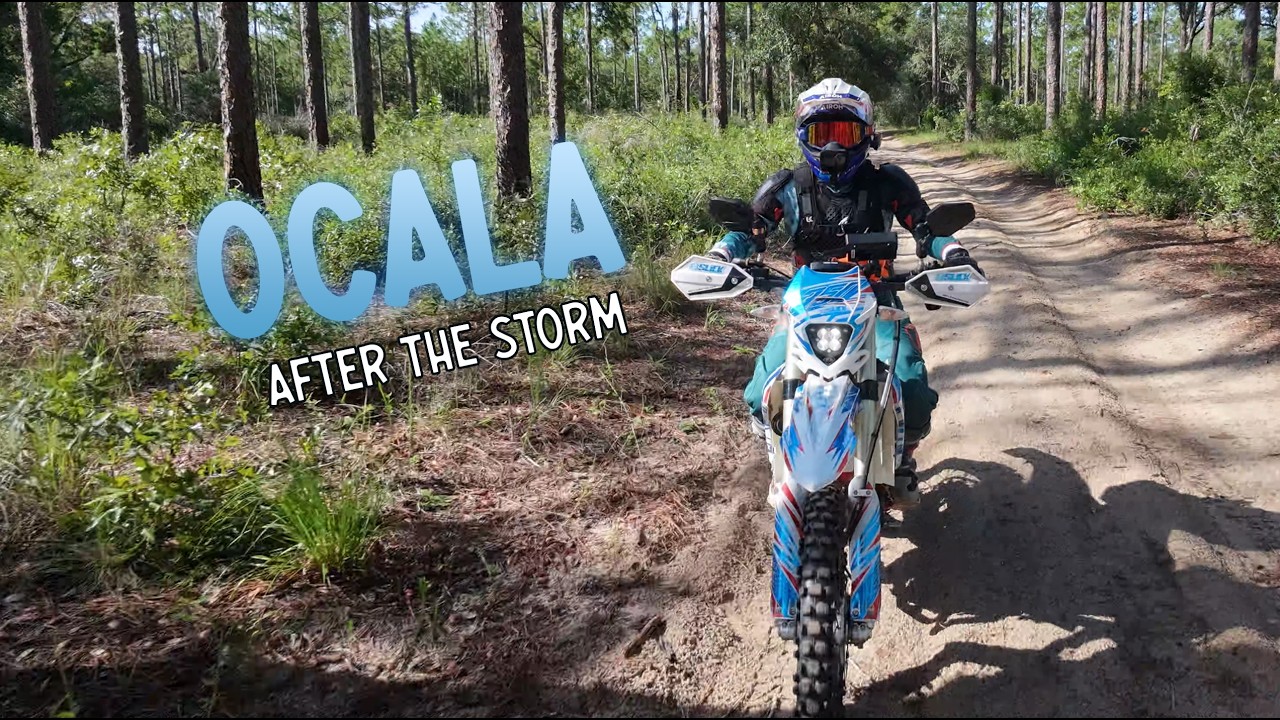 Ride Ocala After It Rains! | Florida Dual Sport | Ocala National Forest