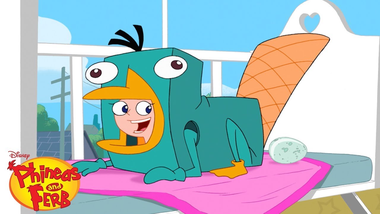 Perry's Egg | Phineas and Ferb | Disney XD